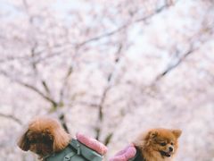 -龙美术馆(西岸馆)