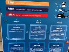 课程体系介绍-BlueBubble蓝泡泡婴幼儿游泳会所(合川路店)