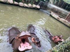 -宁波野生动物园