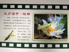 -上海昆虫博物馆