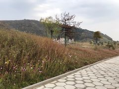 -山西乌金山旅游区