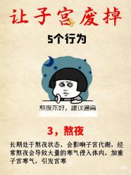 -玛莲朵·海菲秀冰珀科