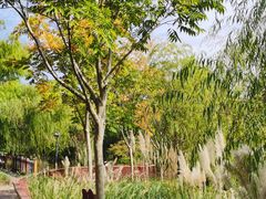 -嘉北郊野公园