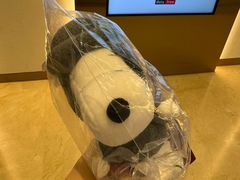-新罗免税店(济州店)