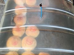 -新川饮食(新川小区店)