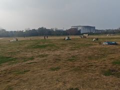 -国际非物质文化遗产博览园