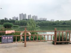 -燕郊植物园