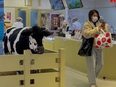 -红星前进面包牛奶公司(君太店)