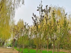 -中关村生命科学园