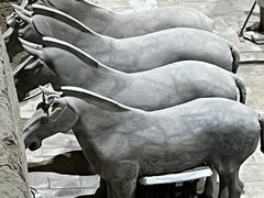 -秦始皇帝陵博物院(兵马俑)