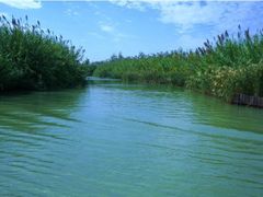 -泗洪洪泽湖湿地景区