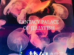 -青岛海底世界-水族馆