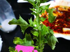 -黔府豆米火锅野菜馆(南马店)