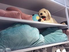 -NOME(南海公园店)