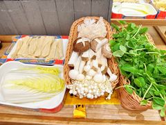 豌豆苗-侃爷南门铜锅涮肉