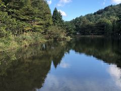 -四明山国家森林公园