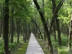 -同里国家湿地公园