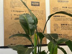 -野人先生现做冰淇淋(北京王府井东方新天地店)