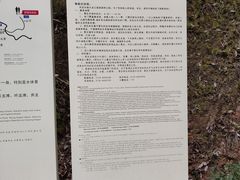 -九龙江国家森林公园