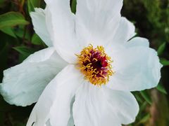 -汉景帝阳陵博物院