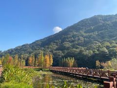 -广州市石门国家森林公园