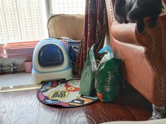 -彭记糕点(龙亭旗舰店)