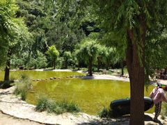 -沕沕水生态风景区