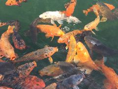 -云南民族大观园