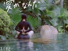 -美的鹭湖森林度假区