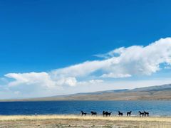 -青海湖国家重点风景名胜区