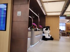 -乌鲁木齐天山国际机场-T3航站楼