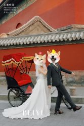点击看大图 -北遇映画PHOTO GRAPHY STUDIO