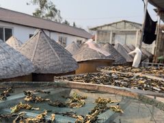 -苏州市吴中区光福窑上花果蜜饯厂