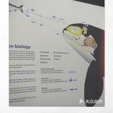 皇家bc博物馆：新的虎鲸展