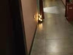 -泰禾馨·泰式按摩精油SPA(华荣大厦店)