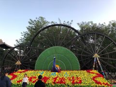 -呀路古热带植物园