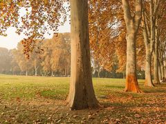 -河南省黄河迎宾馆