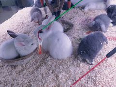 -大玩家(拱墅万达店)