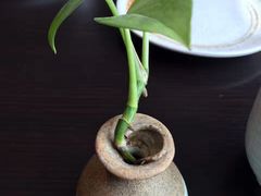 -笑福亭料理小馆(解放碑店)