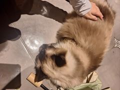 -Estaeslavida分享茄雪茄吧(亿彩购物中心店)