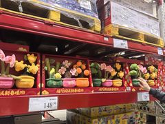 -山姆会员商店(亦庄创意生活广场店)