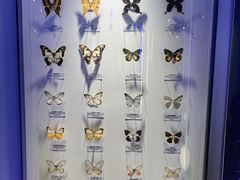-吉林省自然博物馆