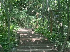 -大岭沟猕猴桃谷风景区