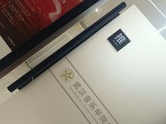 -武汉音乐学院徐东基地