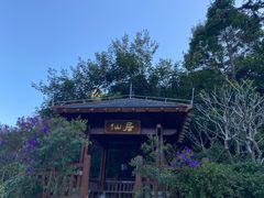 -广州白江湖森林公园