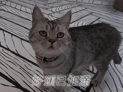 -白夜2D咖啡馆
