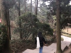 -庐山风景区花径公园