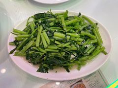 炒空心菜-澳门陈光记烧味饭店(郎家园店)