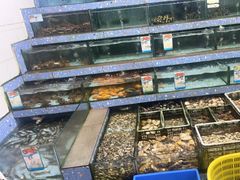 -锐记美食店·现捞海鲜(闸坡店)