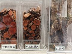 -北京中医药大学-中医药博物馆